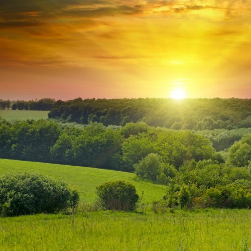environment and ecology